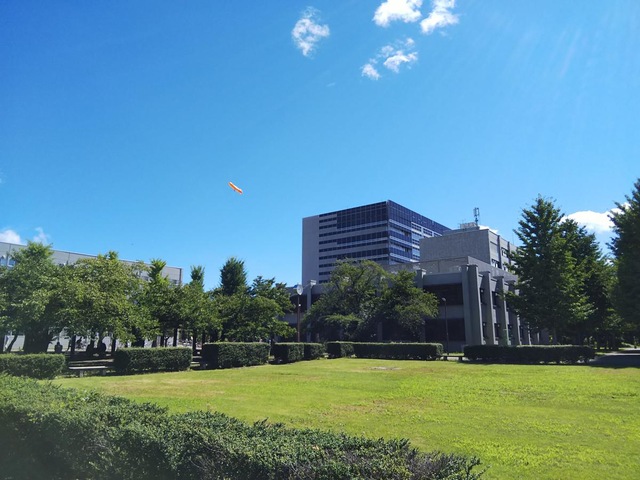 草の上にいろいろな家
AI 生成コンテンツは誤りを含む可能性があります。