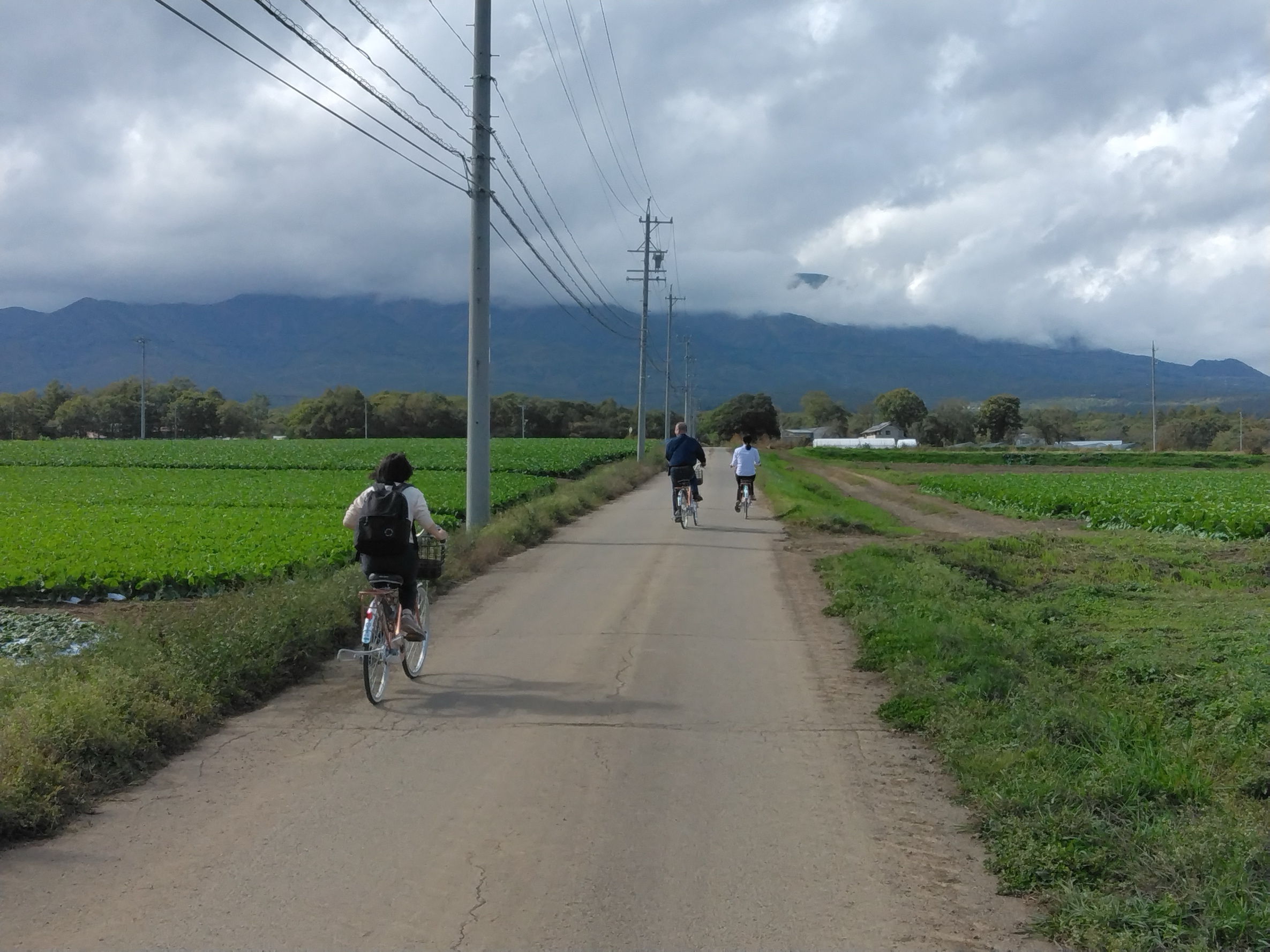 道を自転車で走る人
AI 生成コンテンツは誤りを含む可能性があります。