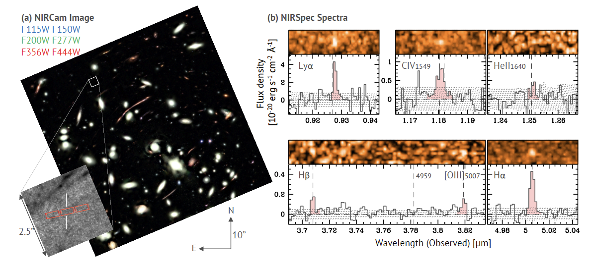 銀河・宇宙進化コースのグラフィック。(a) JWSTのNIRCamで撮られた遠方銀河の撮像データ。(b) JWSTのNIRSpecで撮られた遠方銀河の分光データ。
